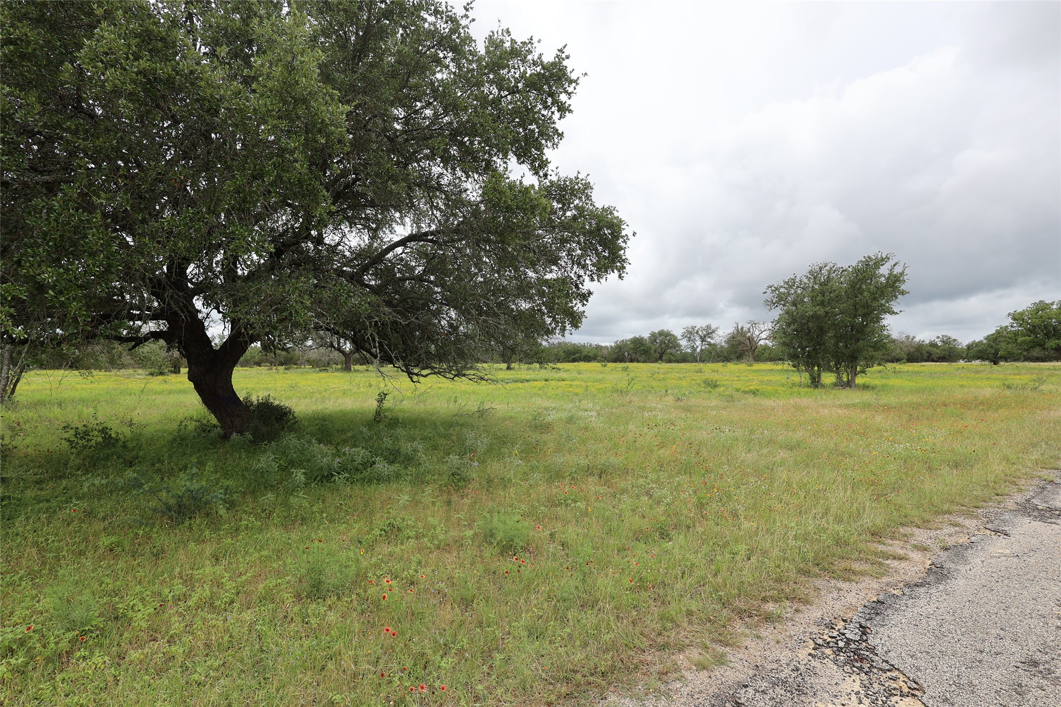 1399 Klett Ranch Road Johnson City, TX 78636 - Photo 22 of 23 a view of a field with an trees