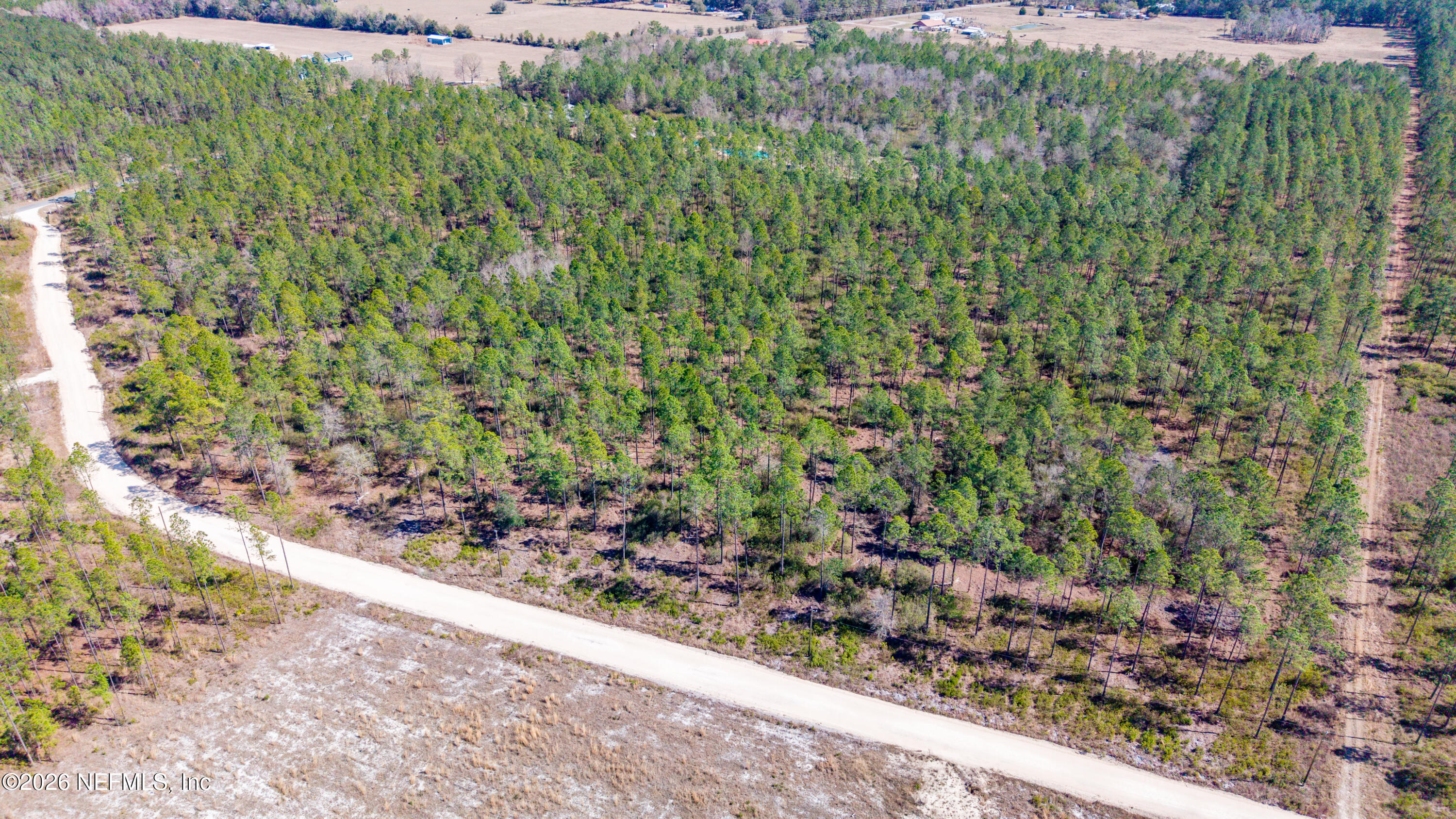 0 Northwest 235th Rd Lake, Unit COUNTY Starke, FL 32091 - Photo 4 of 15 00 NW 235 County Road-5