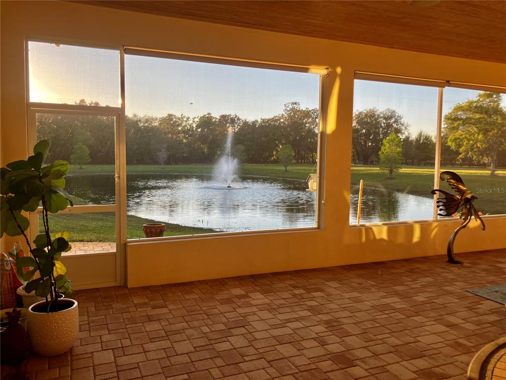 3709 Gallagher Road Plant City, FL 33565 - Photo 37 of 60 a view of a floor to ceiling window