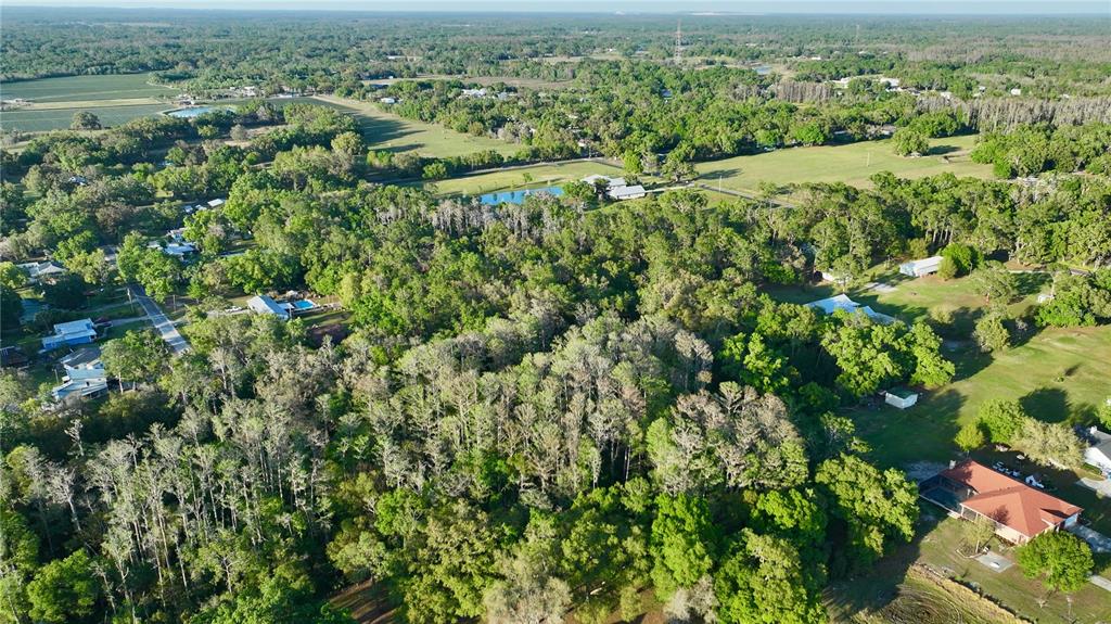 3709 Gallagher Road Plant City, FL 33565 - Photo 58 of 60 an aerial view of forest