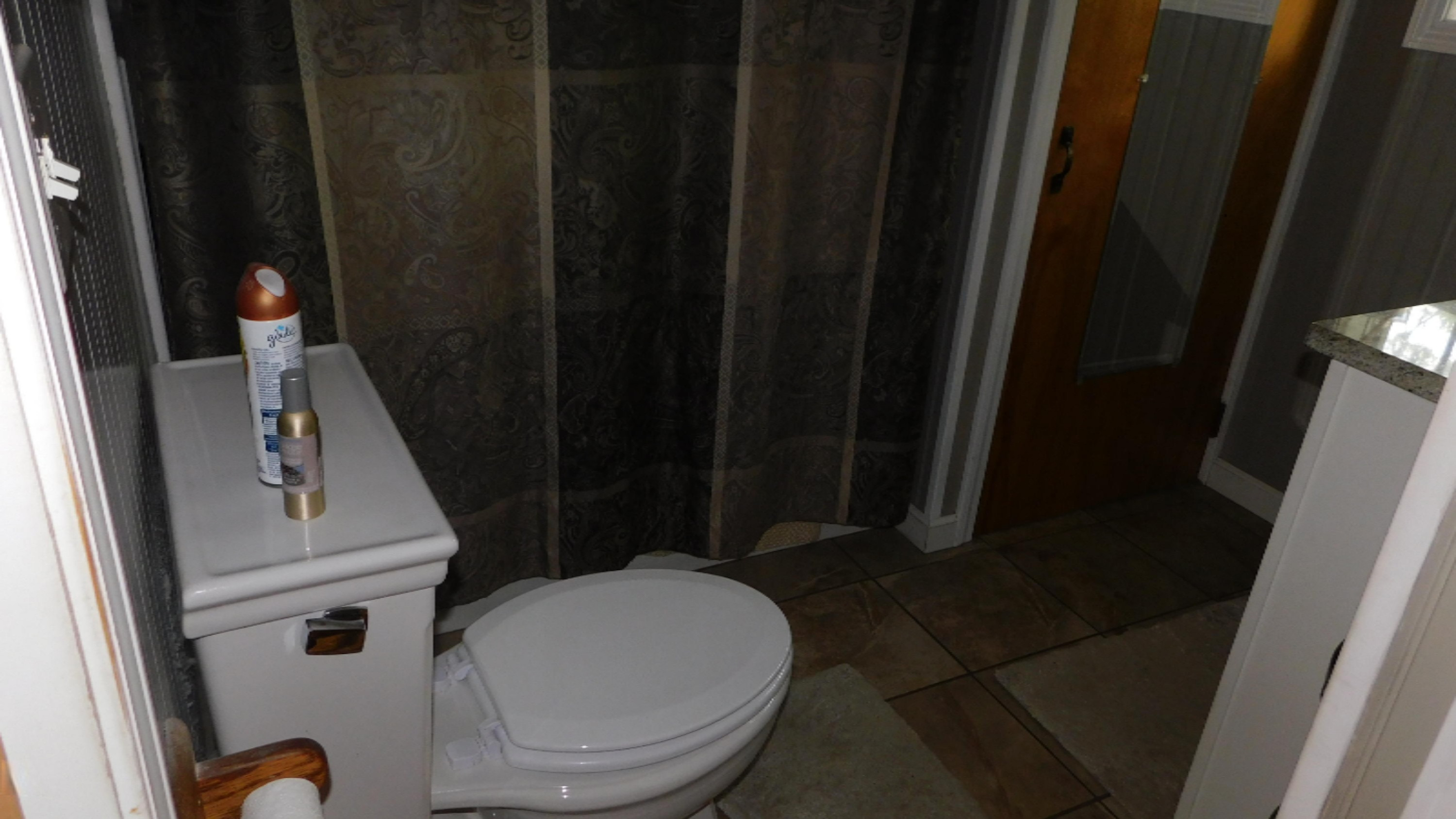 5373 Old Dam Road Newaygo, MI 49337 - Photo 16 of 33 DSCN1309
