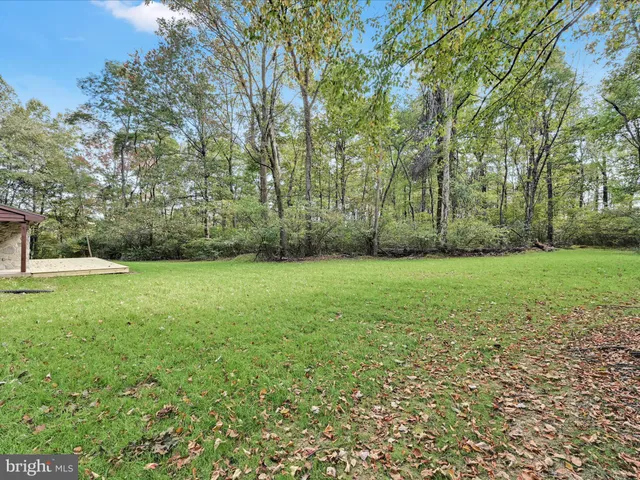 a view of a garden with trees