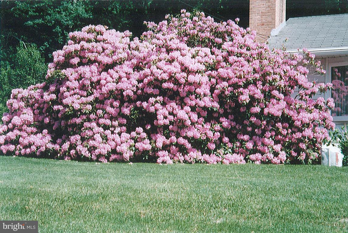 444 Adamstown Road Adamstown, PA 19501 - Photo 19 of 24 Gallery Image 19