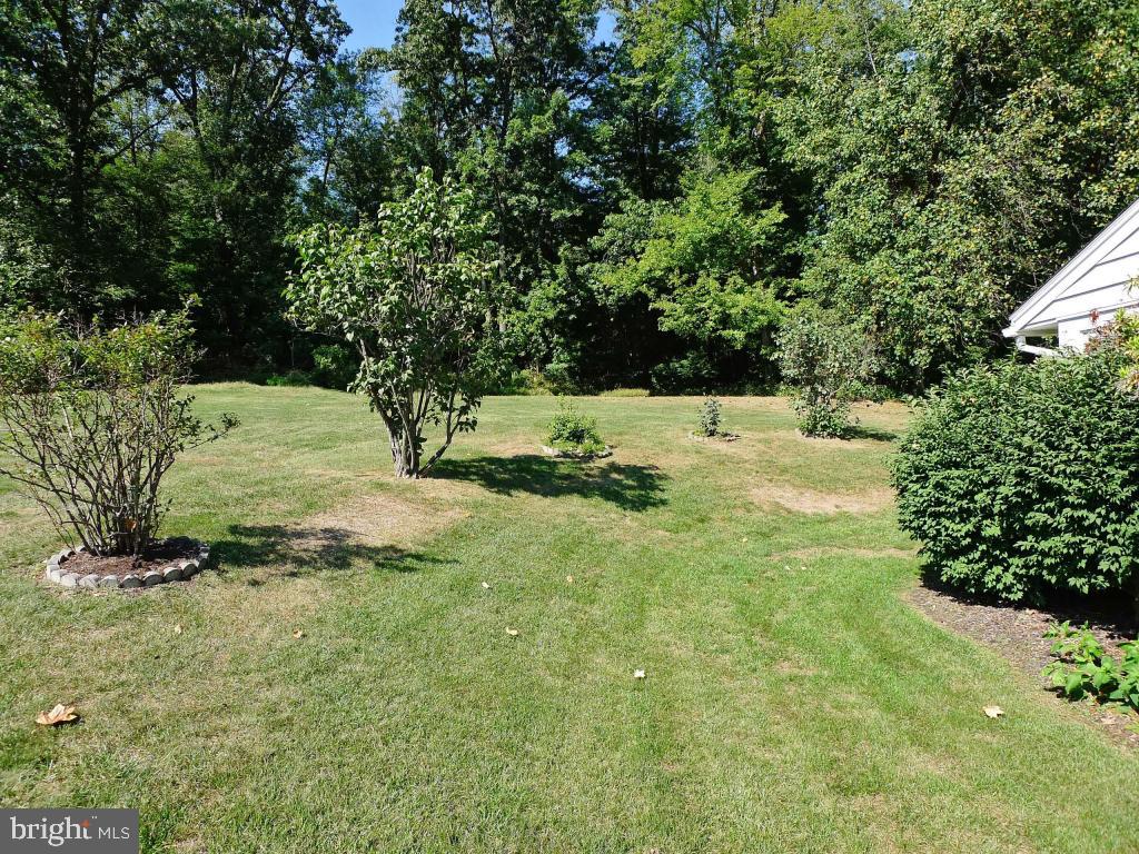 444 Adamstown Road Adamstown, PA 19501 - Photo 20 of 24 Gallery Image 20