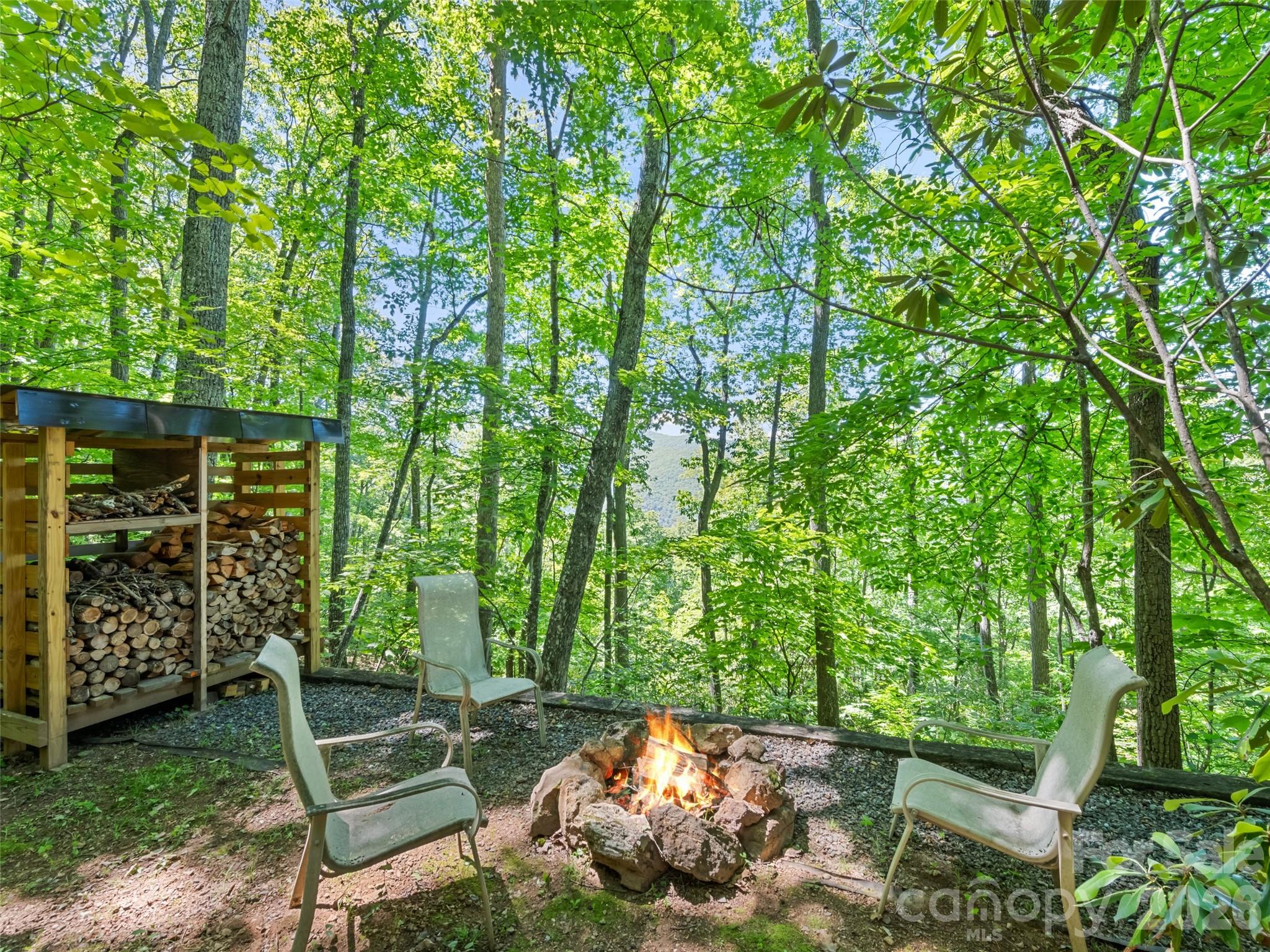 1392 Mt Chalet Road Canton, NC 28716 - Photo 13 of 34