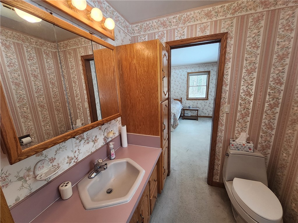 7779 Hamilton Road Avoca, NY 14809 - Photo 13 of 32 Primary bathroom