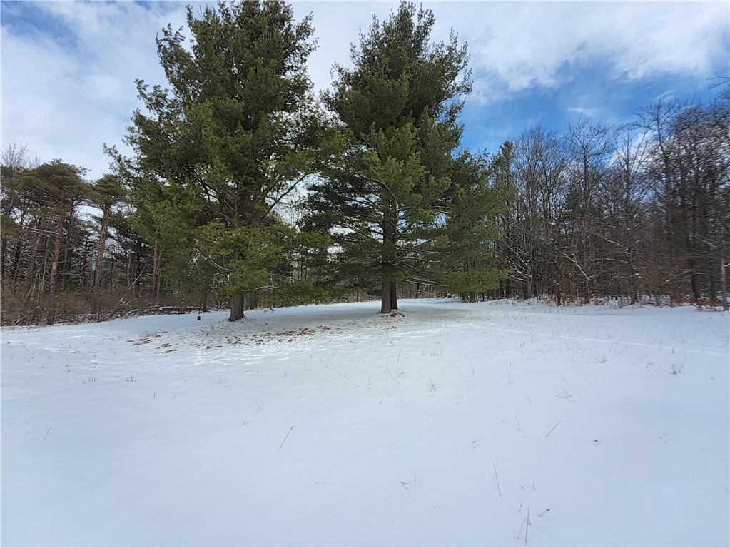 7779 Hamilton Road Avoca, NY 14809 - Photo 28 of 32