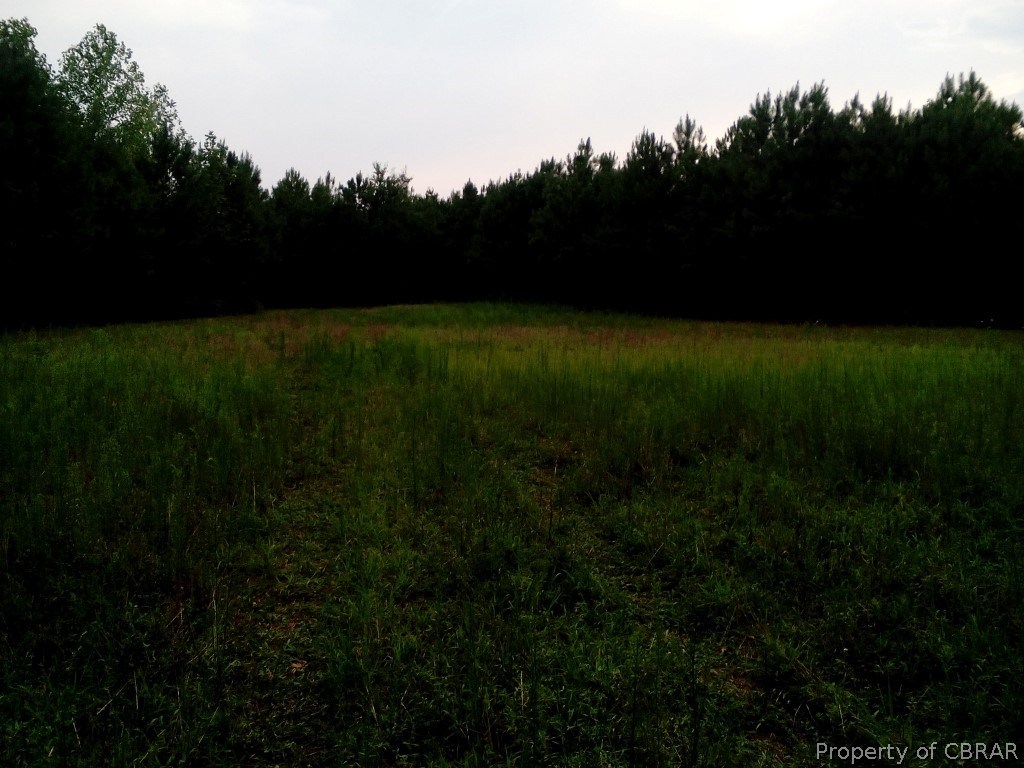 57.4-ac 57.4-ac Poplar Grove Road Center Cross, VA 22437 - Photo 8 of 12