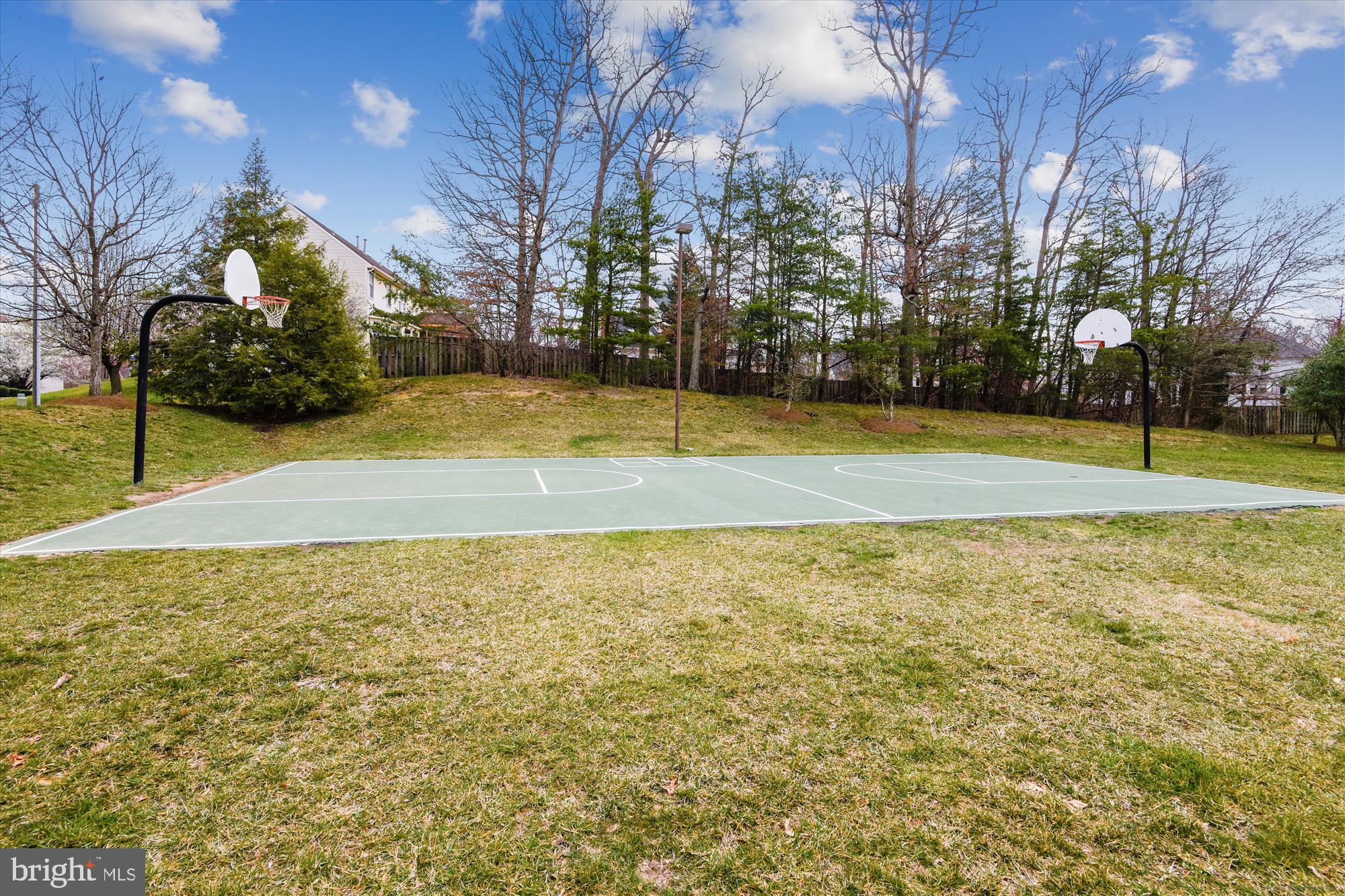 8312 Ivy Green Road Fairfax Station, VA 22039 - Photo 93 of 103