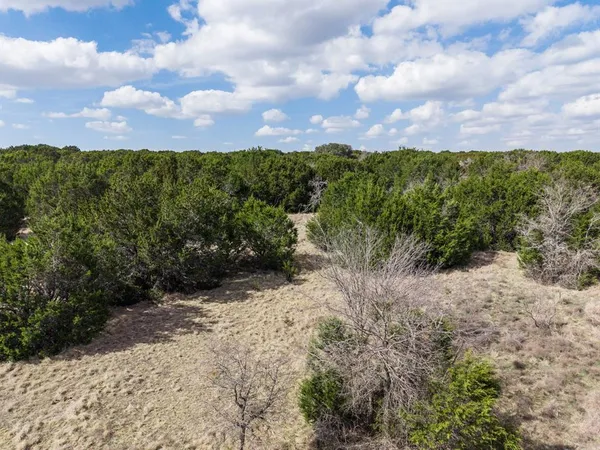 a view of a dry yard with trees in the background