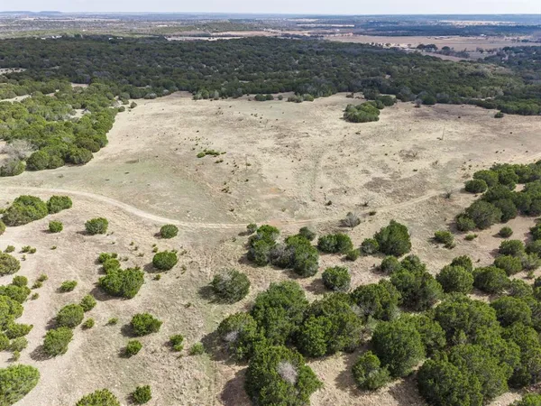 a view of a bunch of trees