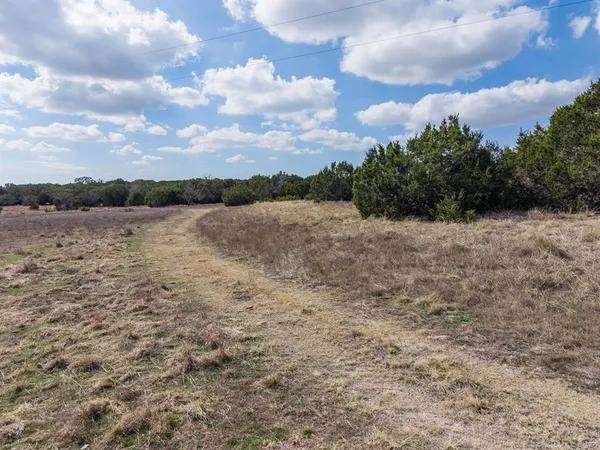 a view of a yard with a tree