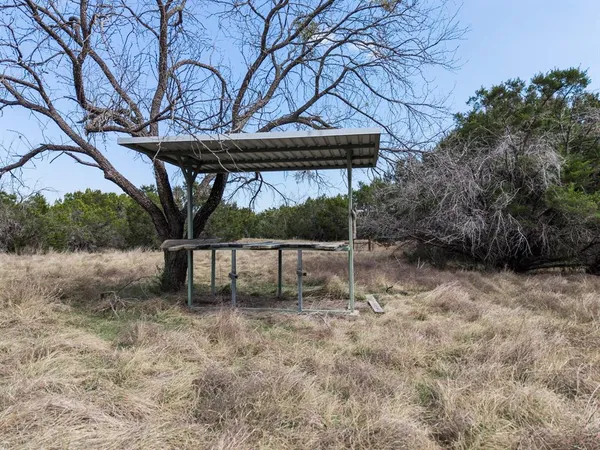 a view of a dry yard with a tree