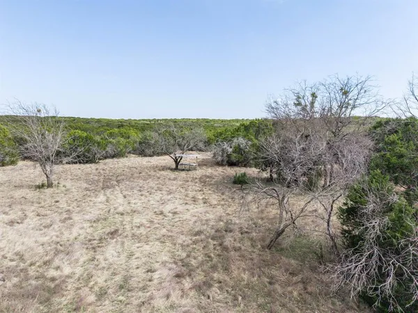 a view of a yard with a tree