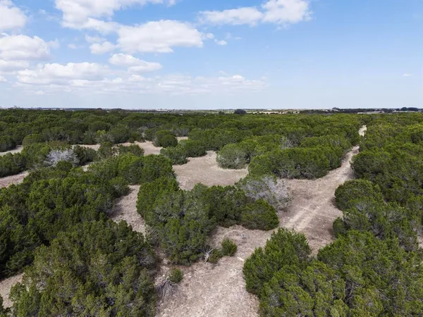 a view of a field with an ocean