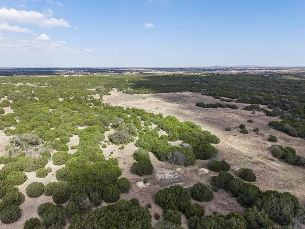 a view of a bunch of trees