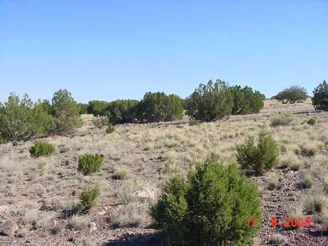 7 Apache County Road Concho, AZ 85924 - Photo 2 of 5