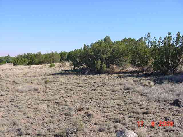 7 Apache County Road Concho, AZ 85924 - Photo 3 of 5
