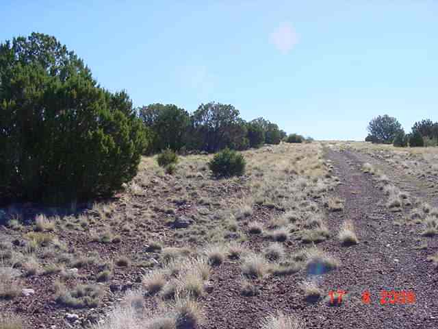7 Apache County Road Concho, AZ 85924 - Photo 4 of 5