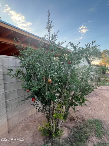a kitchen with a sink and a refrigerator
