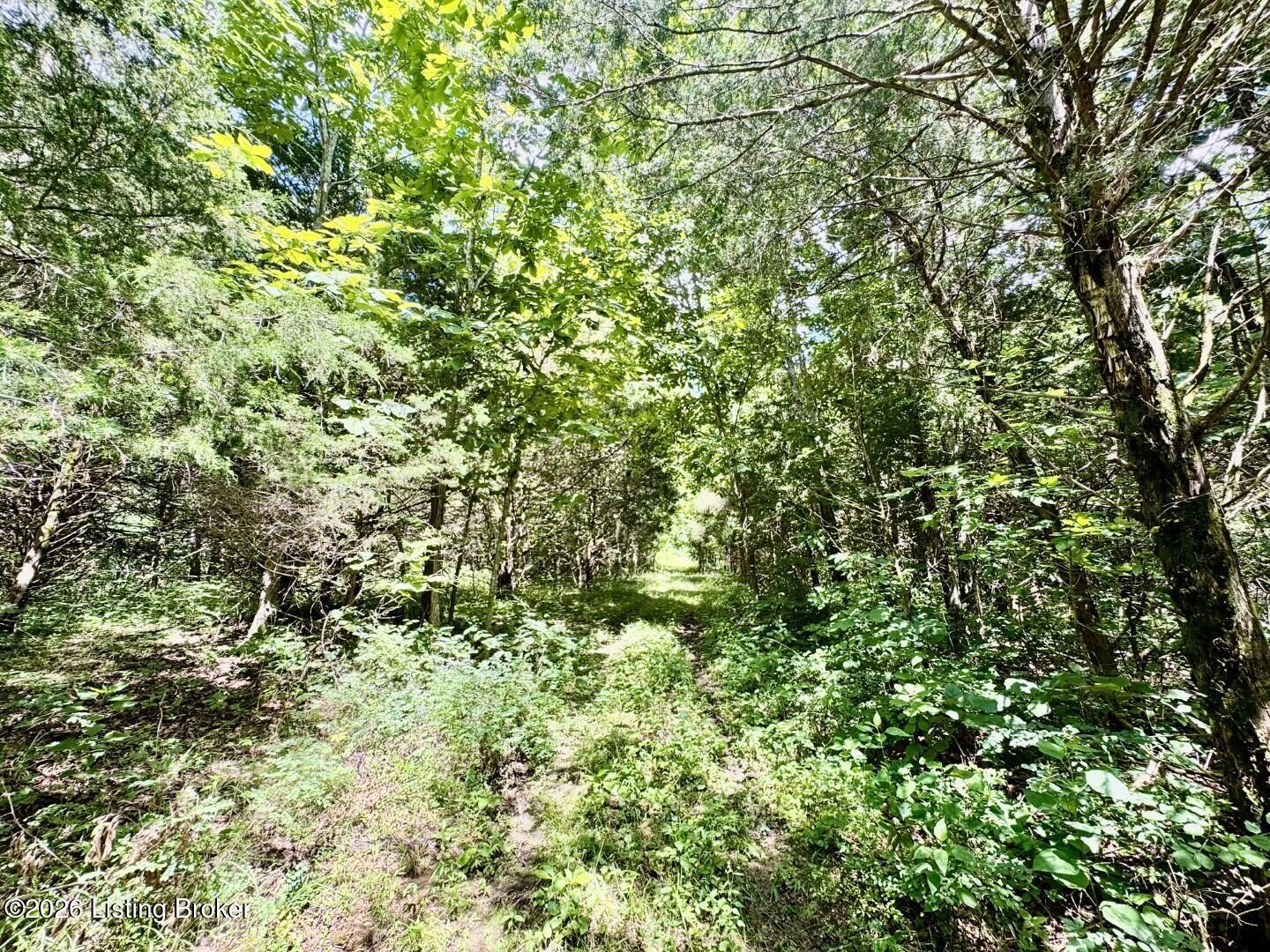 975 Long Run Road Springfield, KY 40069 - Photo 48 of 65 050_Land
