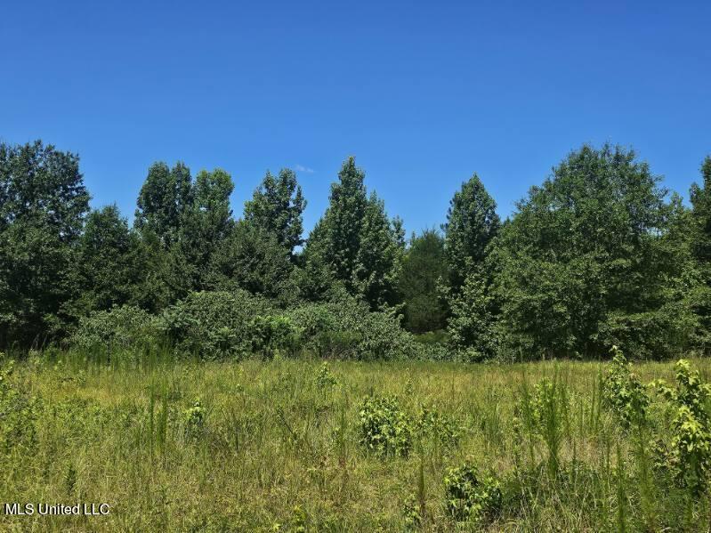 4913 East Tate Road Coldwater, MS 38618 - Photo 18 of 25 0701d2ab-bcbe-497d-acfb-4eef1af2867c
