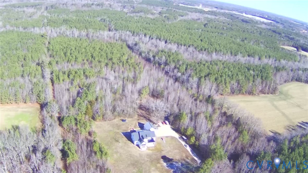 7017 Claiborne Road Sutherland, VA 23885 - Photo 11 of 62 a view of a yard with plants