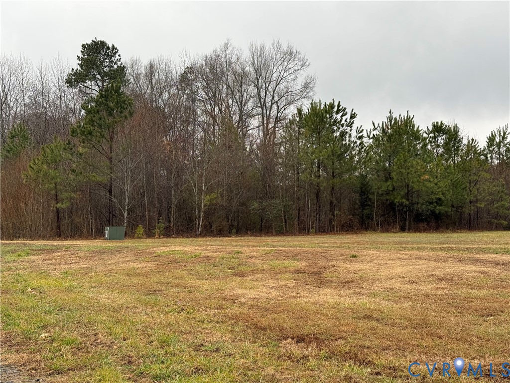 7017 Claiborne Road Sutherland, VA 23885 - Photo 12 of 62 a view of basketball court with trees in the background