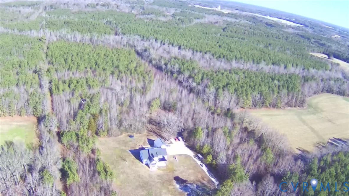 7017 Claiborne Road Sutherland, VA 23885 - Photo 8 of 62 a view of a yard with plants