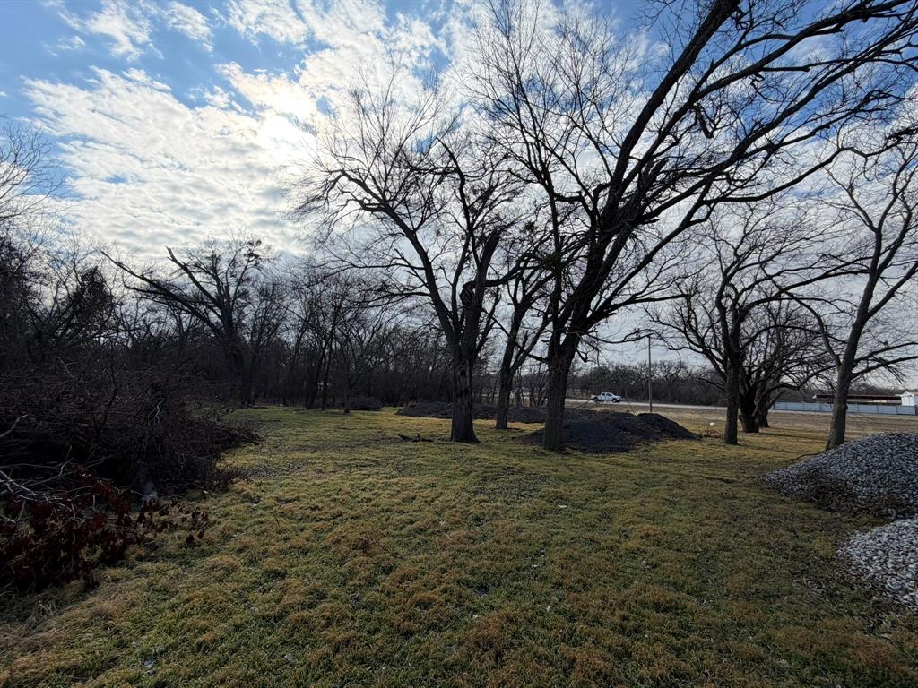 625 East Highway 199 Springtown, TX 76082 - Photo 11 of 13 a view of a yard with a large tree