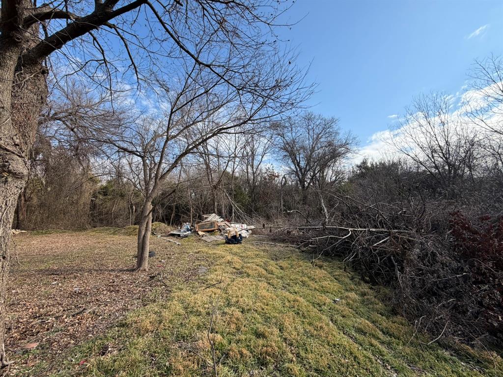 625 East Highway 199 Springtown, TX 76082 - Photo 13 of 13 a view of a yard with plants and trees
