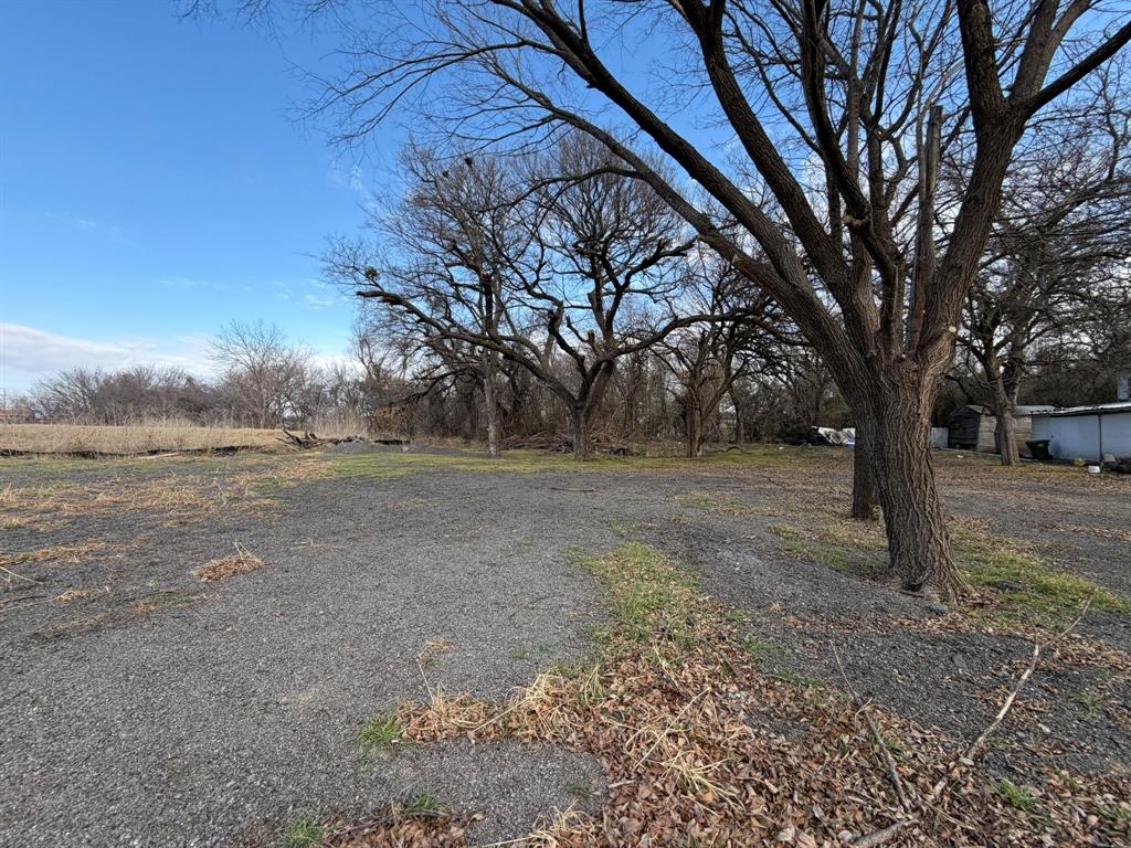 625 East Highway 199 Springtown, TX 76082 - Photo 3 of 13 a view of dirt yard with a tree