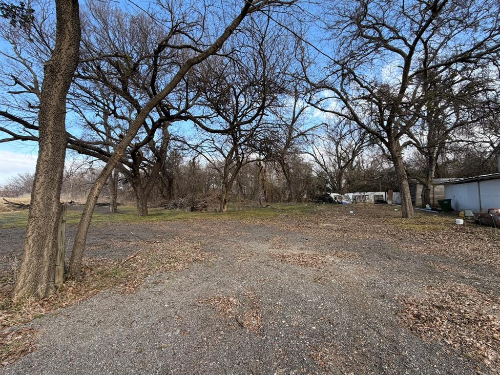 625 East Highway 199 Springtown, TX 76082 - Photo 6 of 13 a view of a yard with a tree