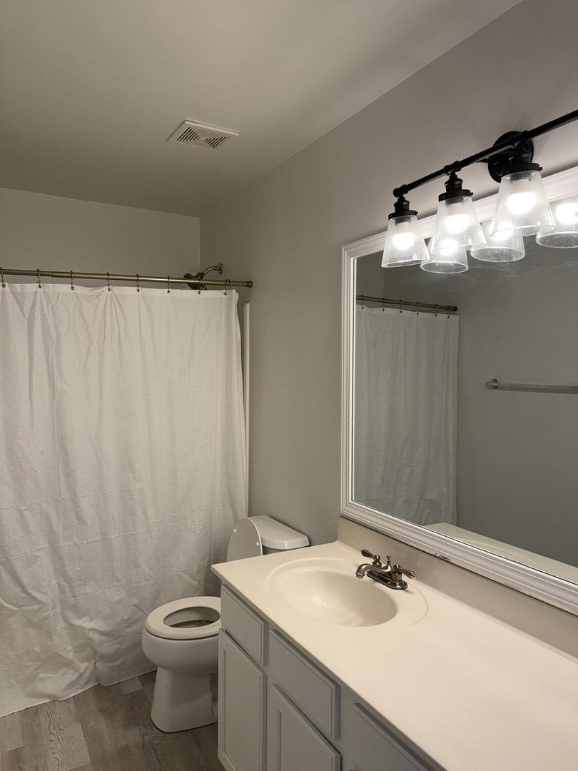 2522 Arcadia Circle Naperville, IL 60540 - Photo 14 of 18 a bathroom with a sink a toilet and shower curtain