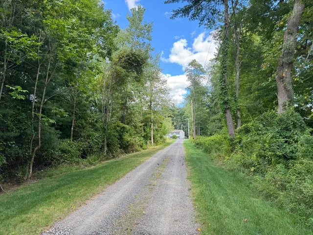 a view of a pathway both side of yard and green space
