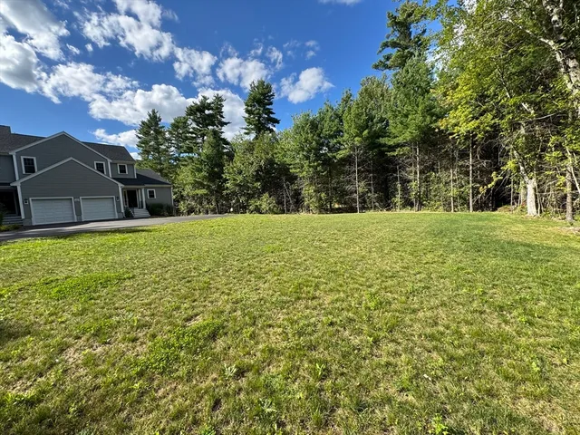 a view of a green field with trees in the background