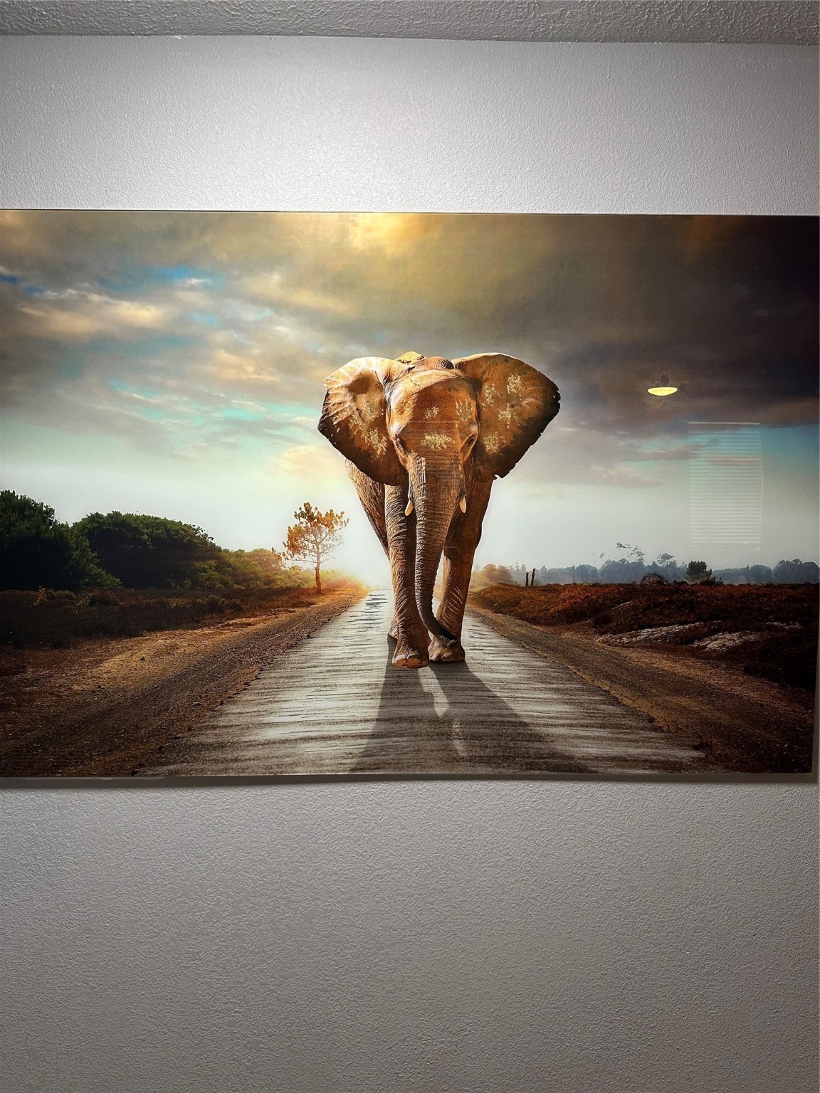 21110 Atascocita Pl Drive Houston, TX 77346 - Photo 28 of 42