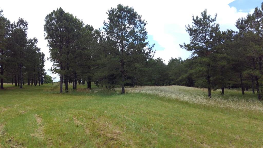 0 Beatrice Road Dothan, AL 36303 - Photo 1 of 1