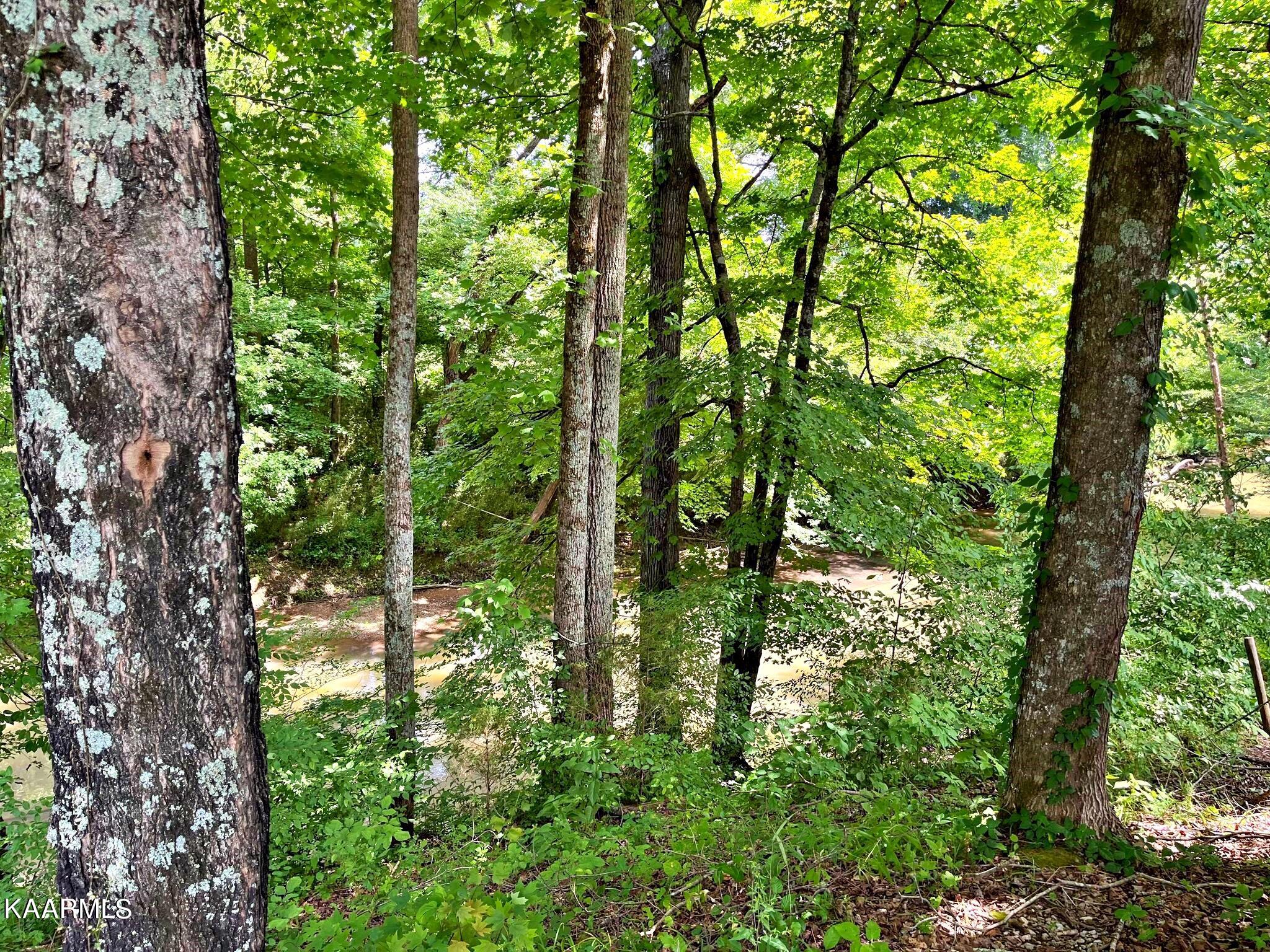 24710 State Highway Decatur, TN 37322 - Photo 11 of 37 290017602_723808298855197_38751133586001