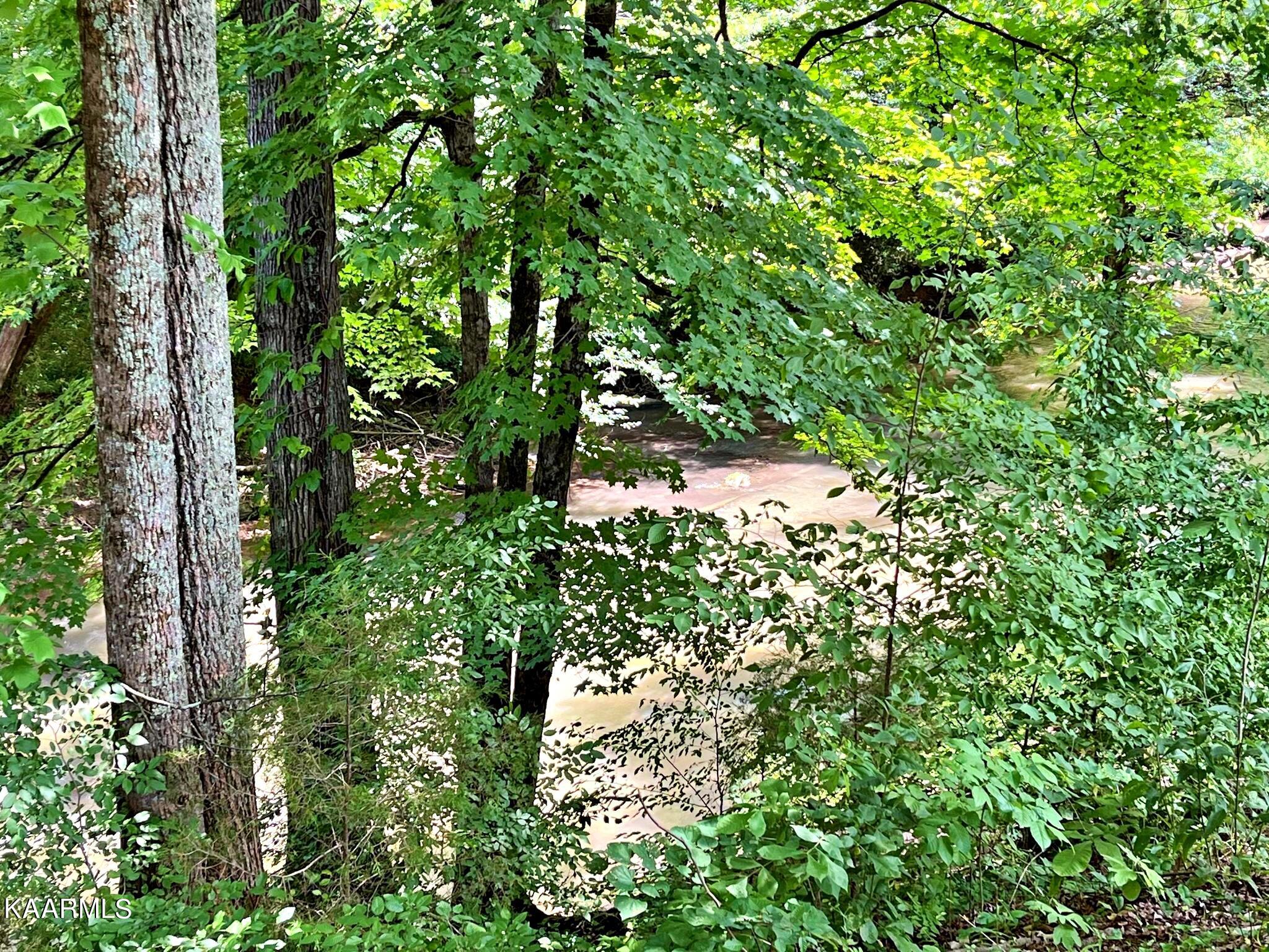 24710 State Highway Decatur, TN 37322 - Photo 13 of 37 288203841_616101596194551_39926451502711