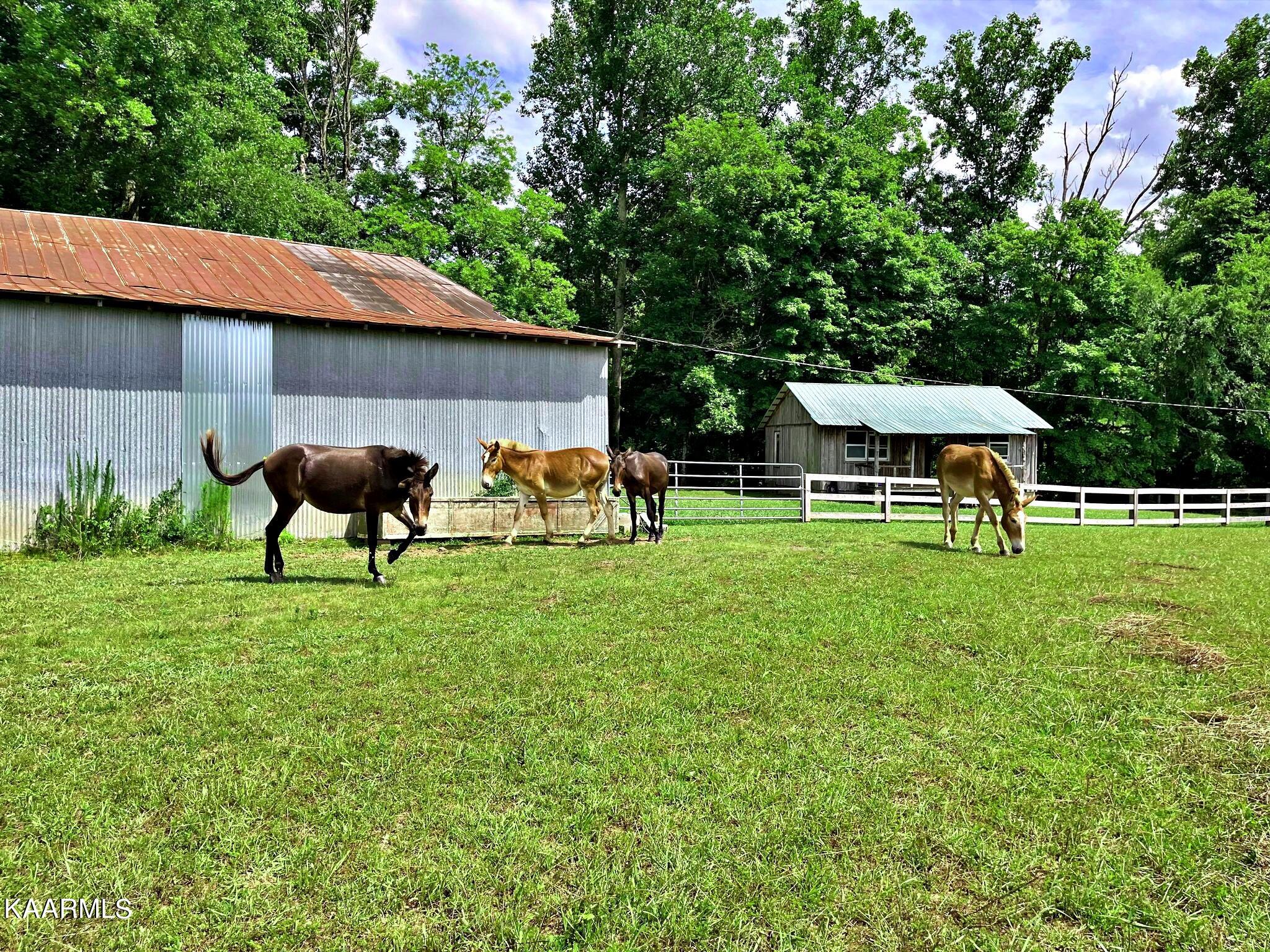 24710 State Highway Decatur, TN 37322 - Photo 19 of 37 289478685_5389035211116895_3449635545087