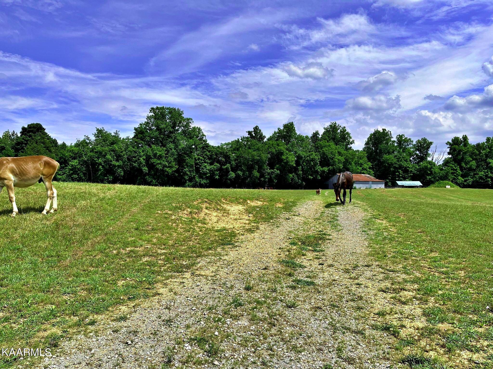 24710 State Highway Decatur, TN 37322 - Photo 35 of 37 288018390_5906288626051250_8401376118165