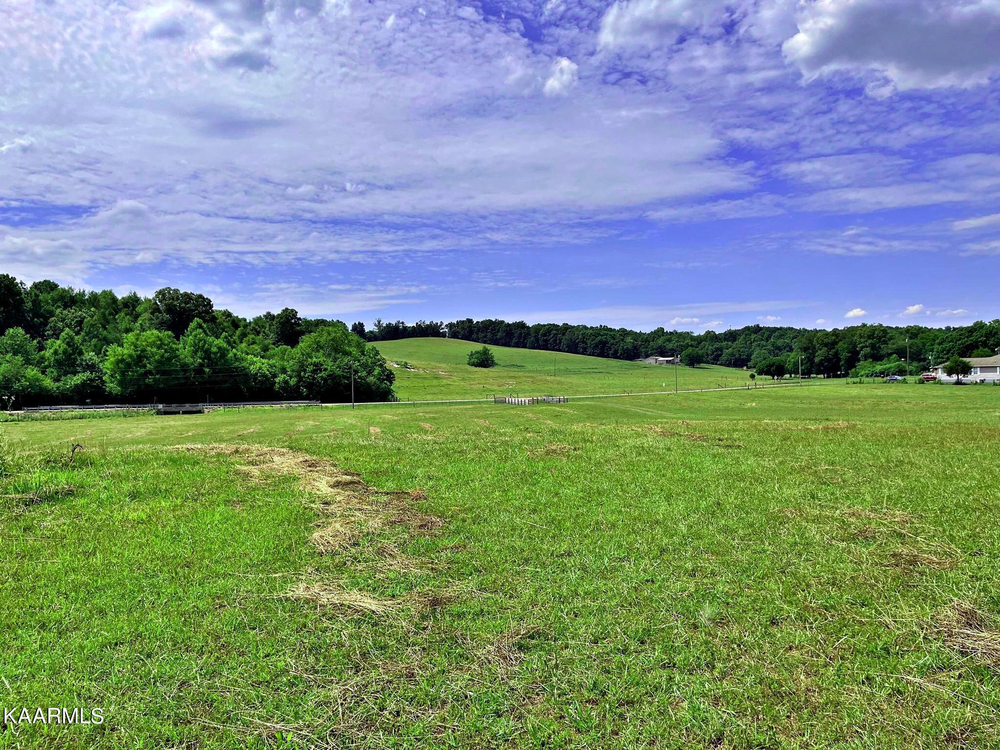 24710 State Highway Decatur, TN 37322 - Photo 5 of 37 289287075_6010977615595635_8925417547874