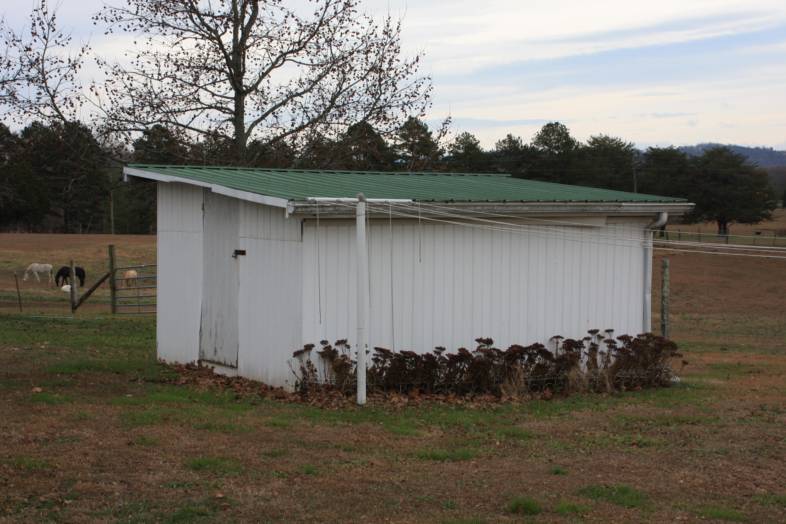 O Gilbreath Road Mosheim, TN 37818 - Photo 3 of 11 IMG_0003