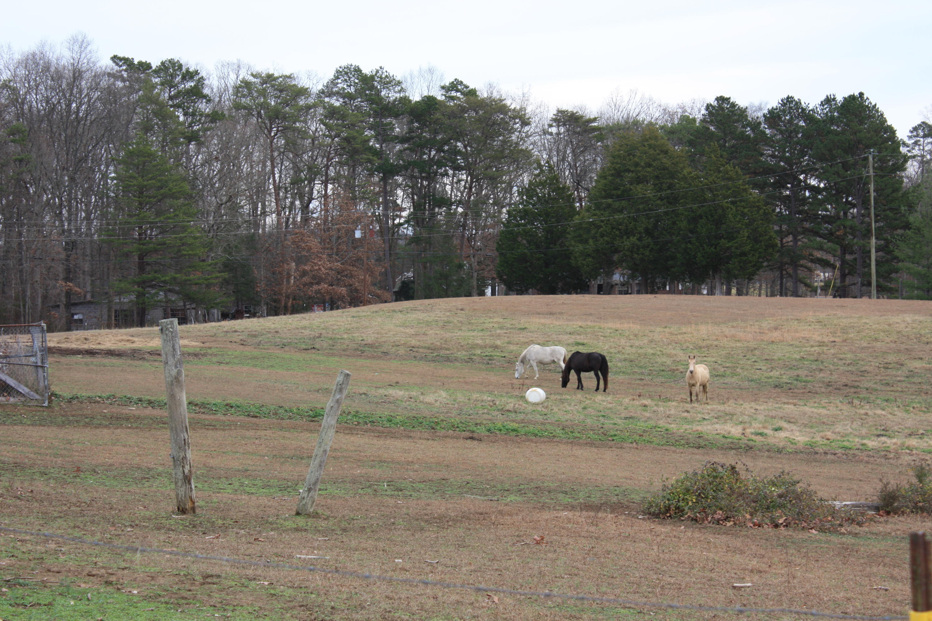 O Gilbreath Road Mosheim, TN 37818 - Photo 7 of 11 IMG_0005
