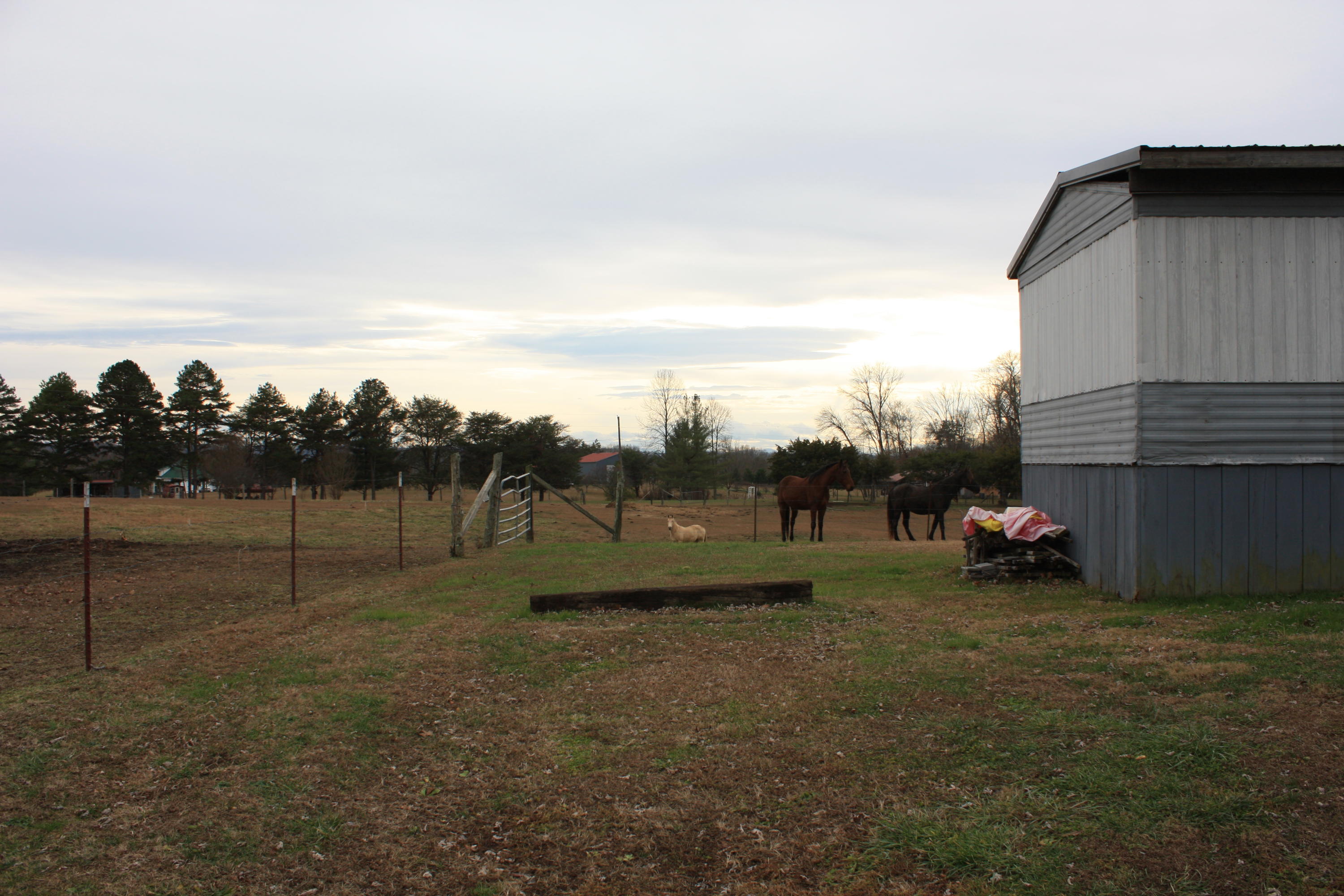 O Gilbreath Road Mosheim, TN 37818 - Photo 10 of 11 IMG_0010 (1)