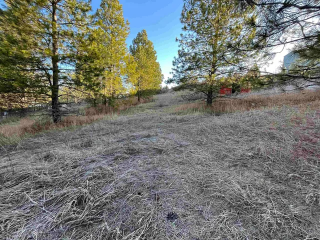 $74,900 | 218 Cliff Court, Rockford, WA 99030