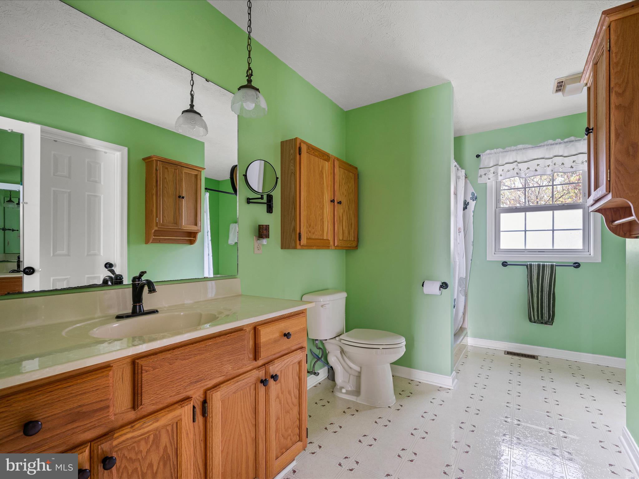 137 Lloyds Road Winchester, VA 22602 - Photo 16 of 40 Primary Bathroom
