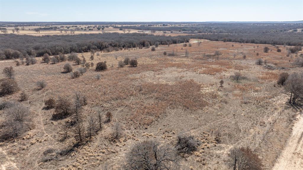 0 County Road 380 Carbon, TX 76435 - Photo 11 of 38