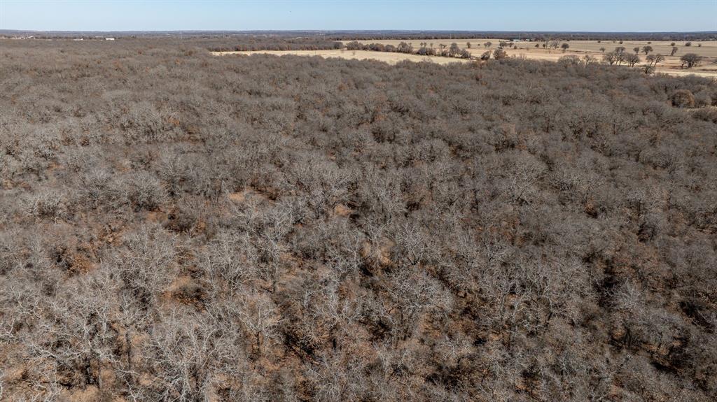 0 County Road 380 Carbon, TX 76435 - Photo 34 of 38 a view of a dry yard with trees